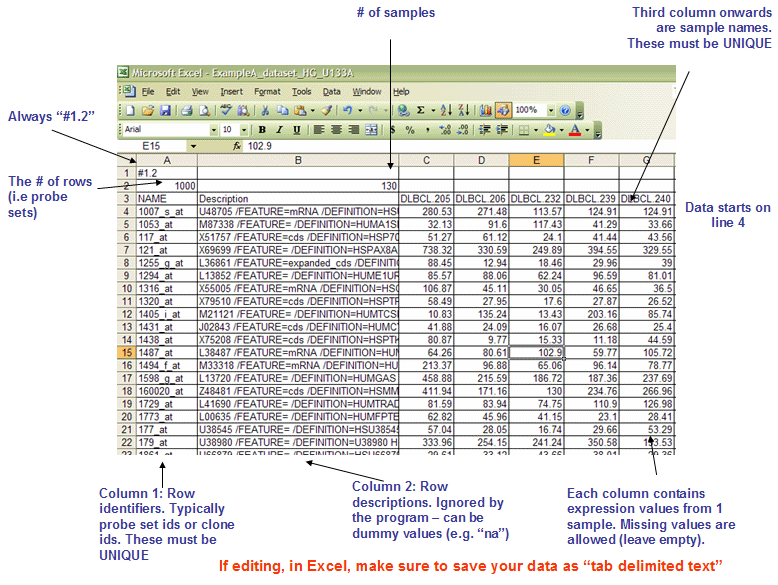 File extension data. Data format. Row column.