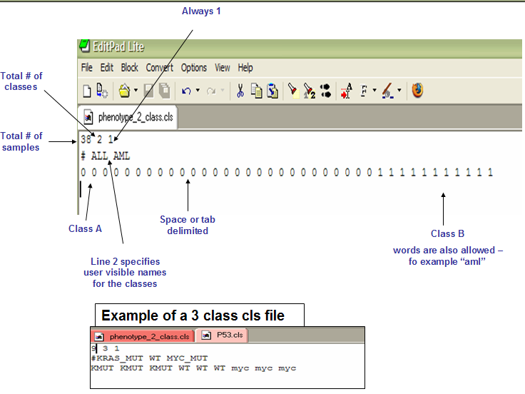 Template (file format) - Wikipedia